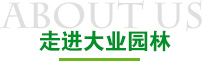 走进云顶国际8588yd