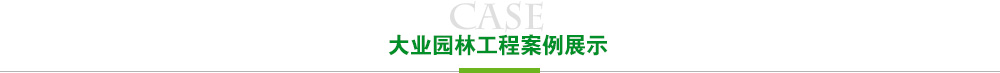 云顶国际8588yd工程案例展示